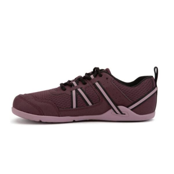 Xero | Women's Prio Running and Fitness Shoe - FIG / ELDERBERRY