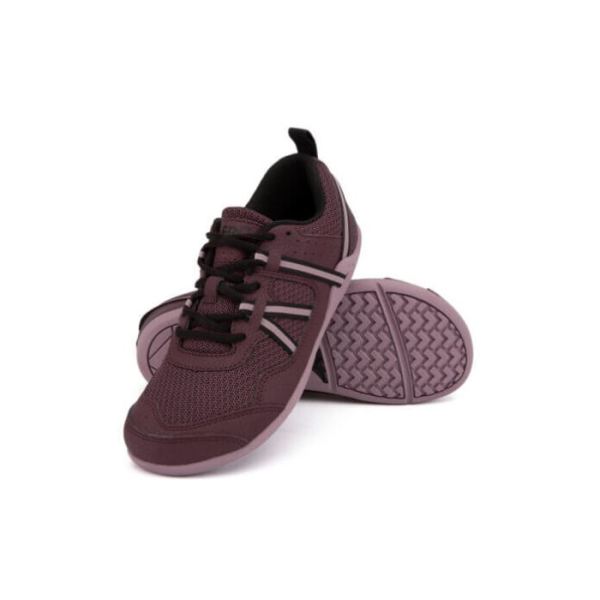 Xero | Women's Prio Running and Fitness Shoe - FIG / ELDERBERRY