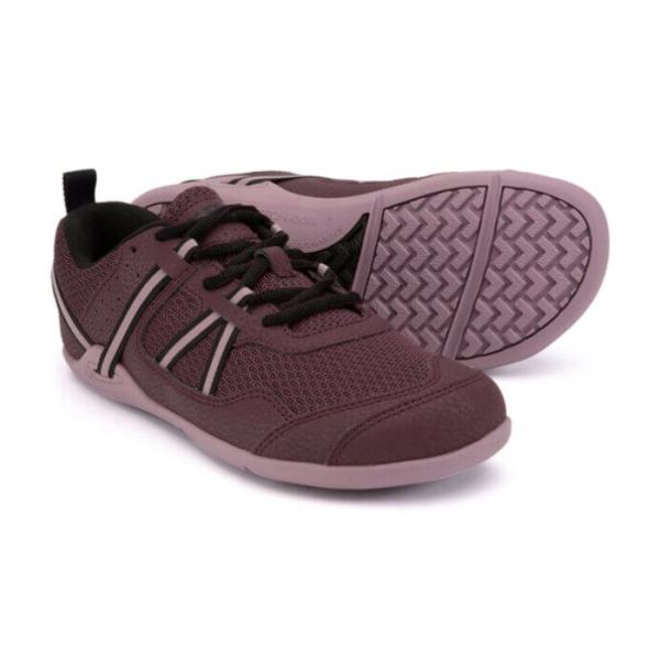 Xero | Women's Prio Running and Fitness Shoe - FIG / ELDERBERRY