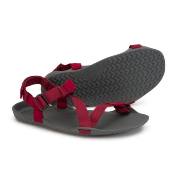 Xero | Men's Z-Trek - The Lightweight Packable Sport Sandal-BIKING RED