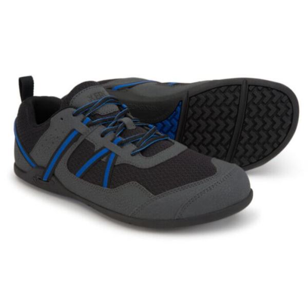 Xero | Men's Prio Running and Fitness Shoe - ASPHALT / BLUE